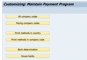 Maintain Payment program