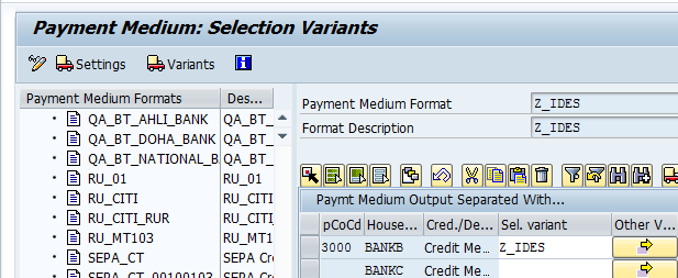 Assign Variant to the Payment File 