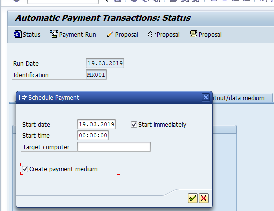 F110 - Payment Run