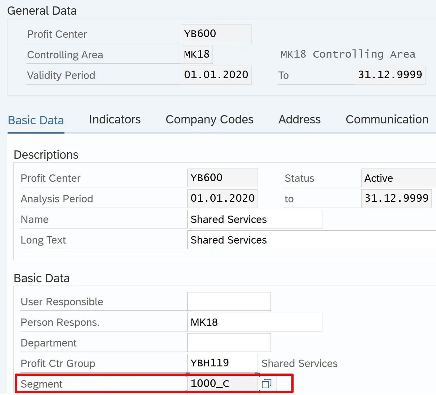 Segment in Profit Center master data