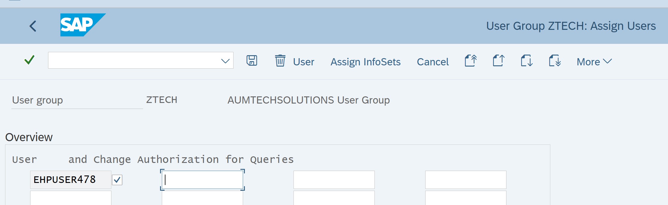 Assign users to SAP Query user group