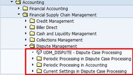 SAP Dispute Management