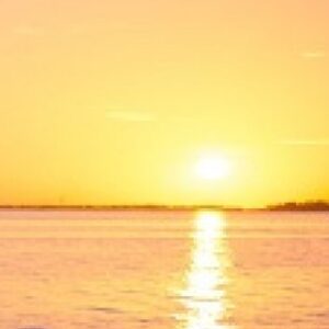 SAP S4/HANA Cash & Liquidity Managment Consulting