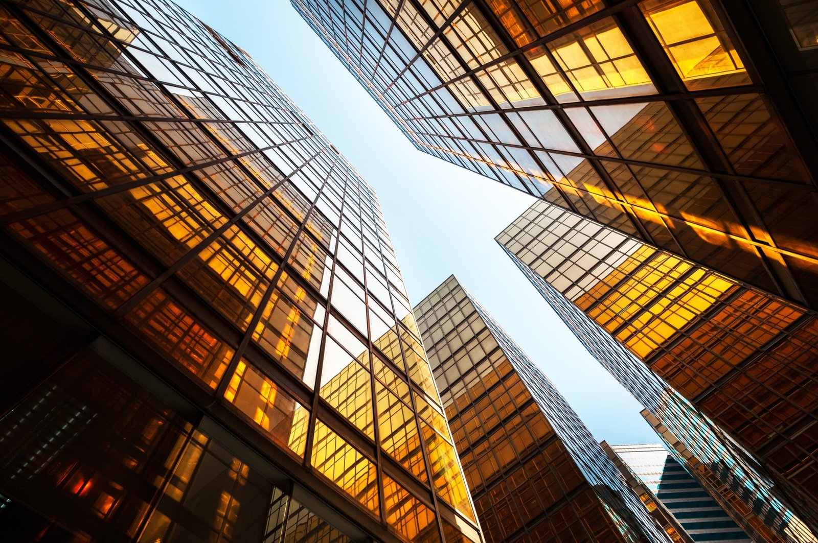 SAP Cash & Liquidity Management